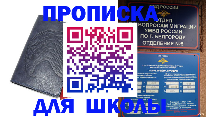 временная регистрация недорого в Мурино